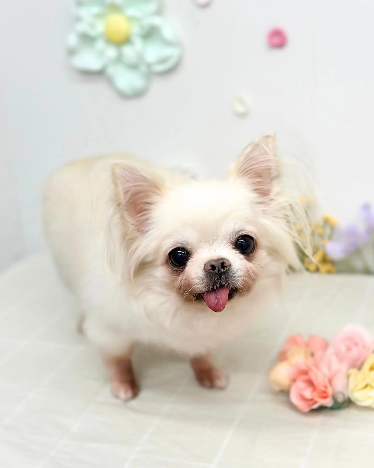 🌿‬つきくん･すずちゃん🌿