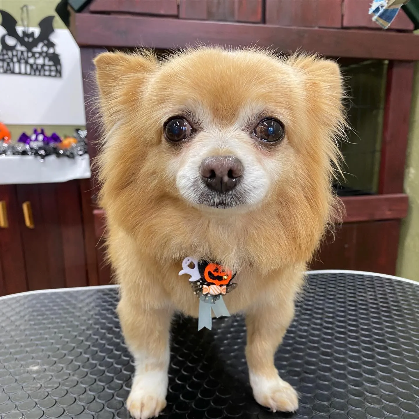 ジャックくん💓