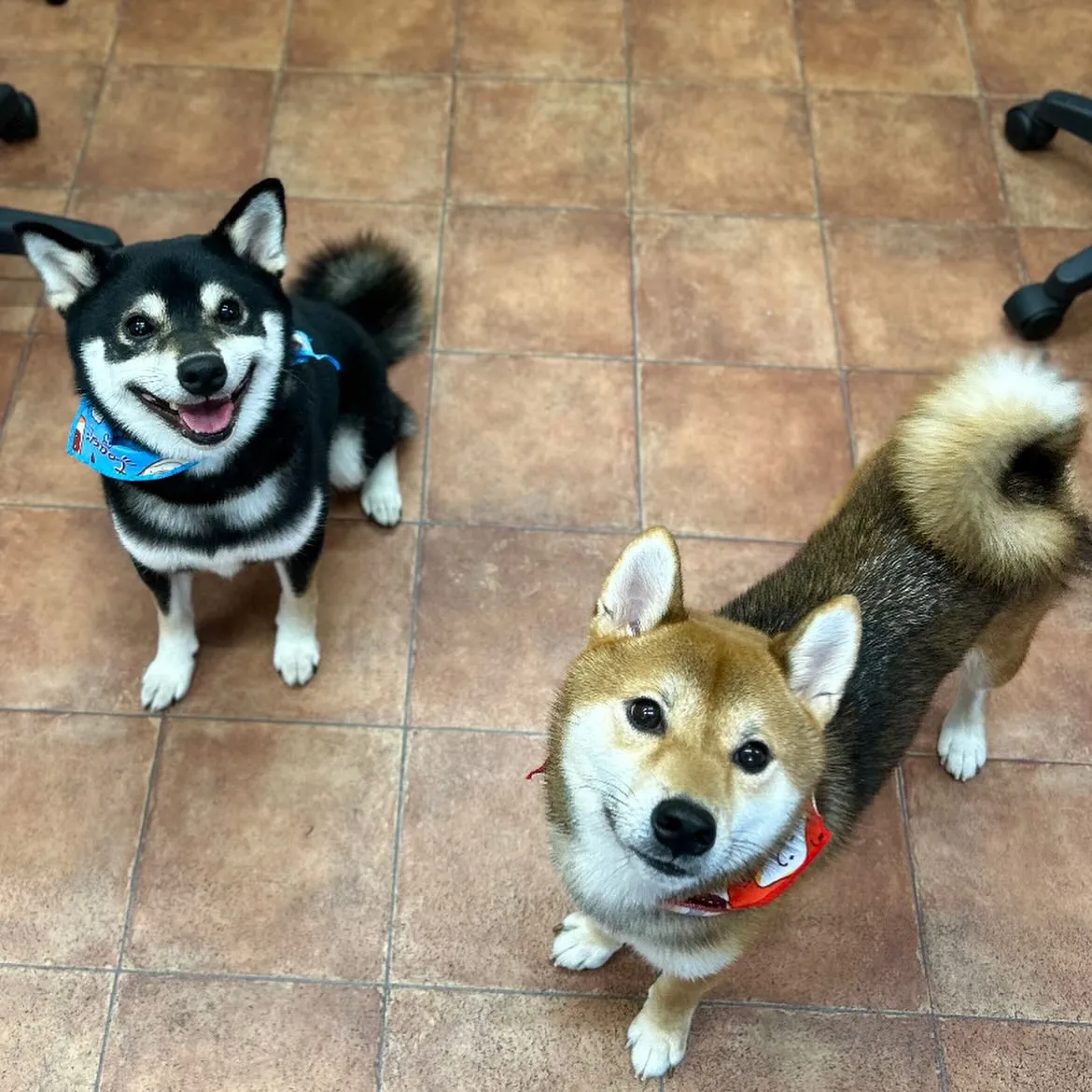 🎃もるんくん・むくくん🍭