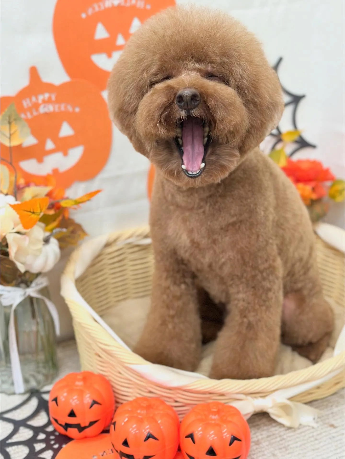 まるくん🧸🤎