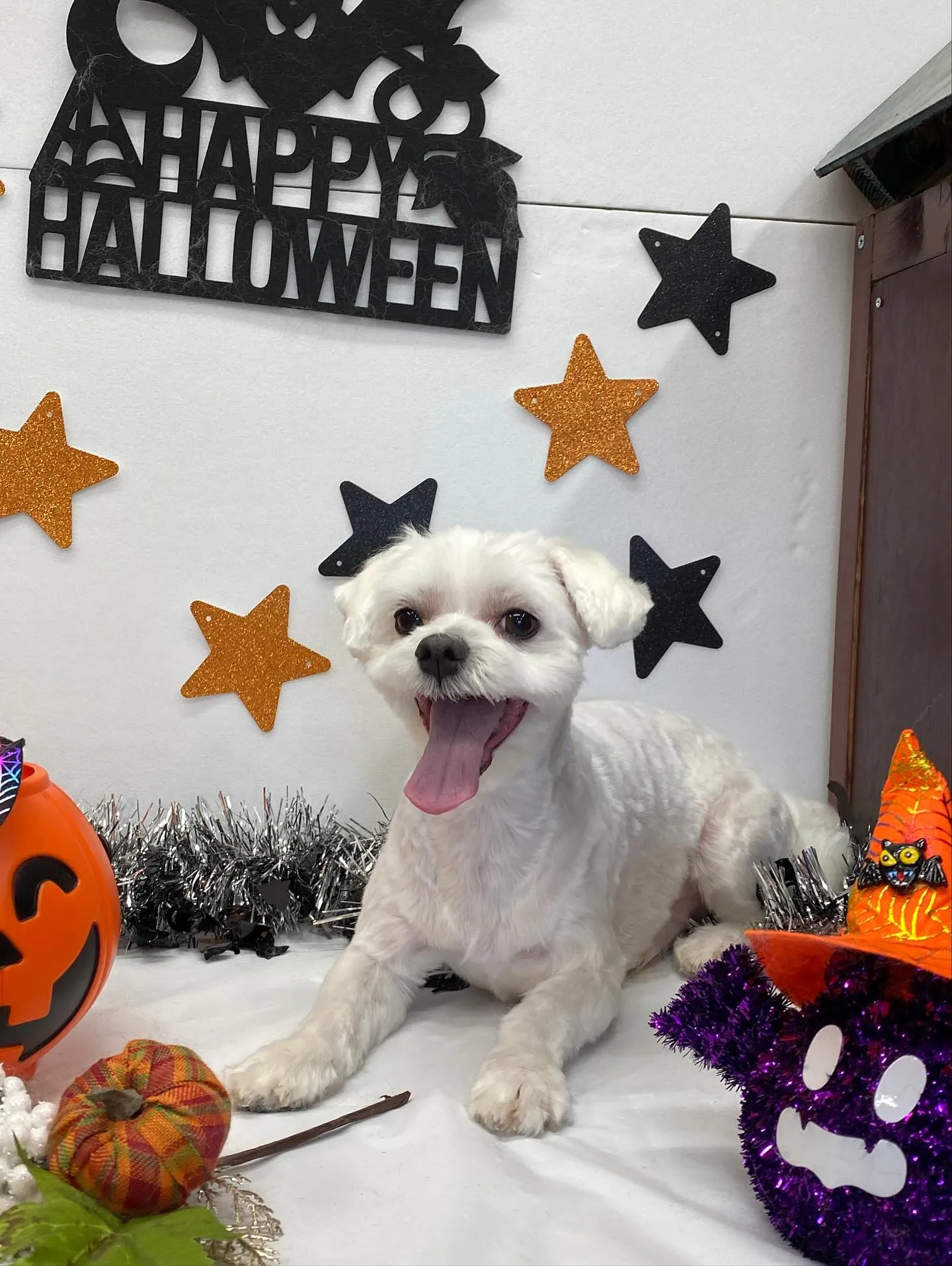 ジュニアくん💓