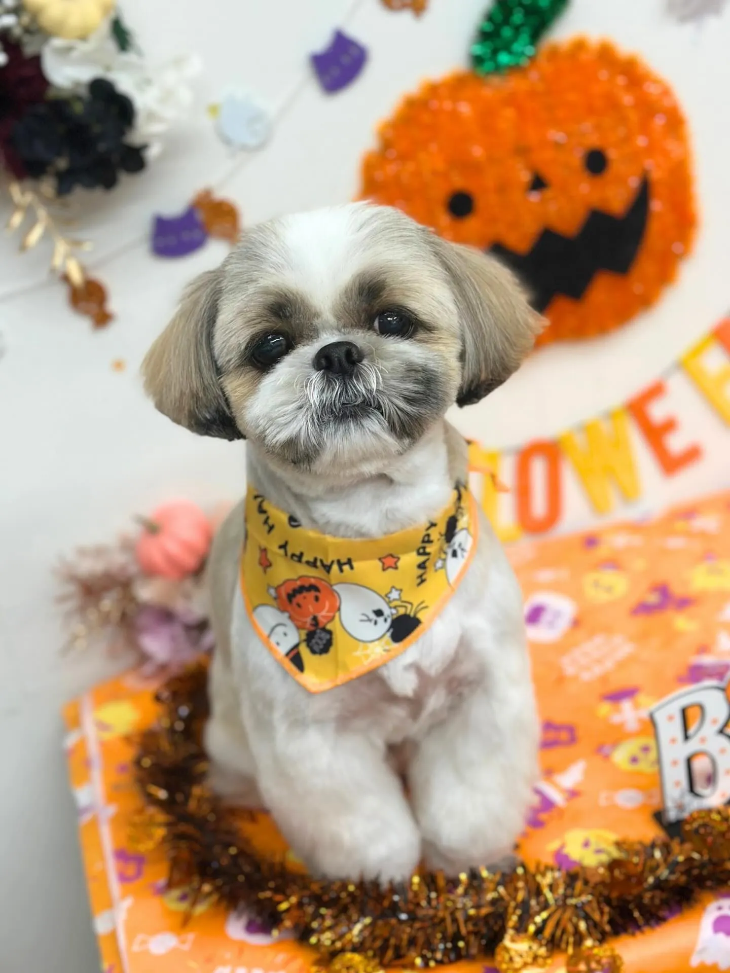 🎃リンクくん🎃