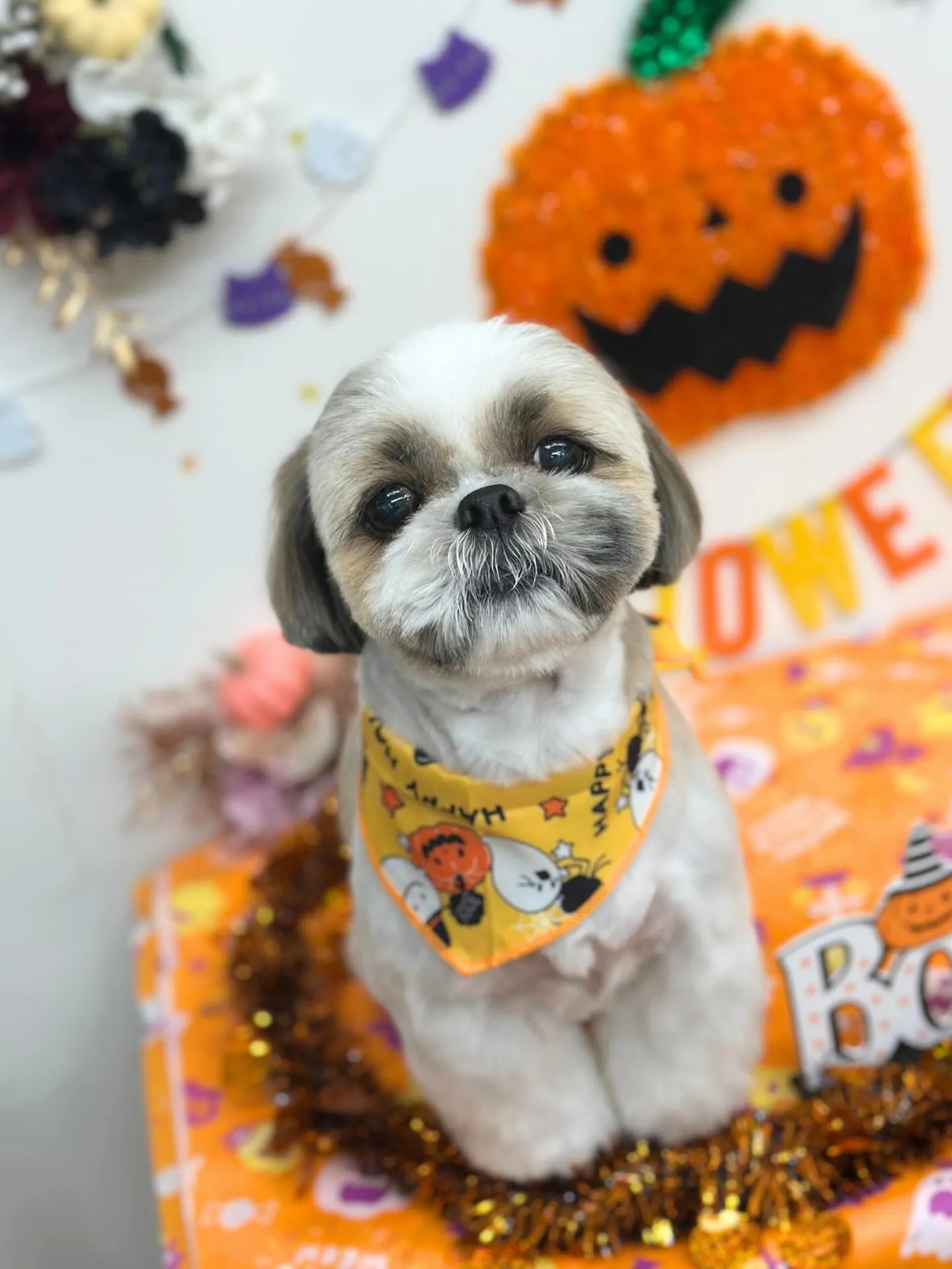 🎃リンクくん🎃