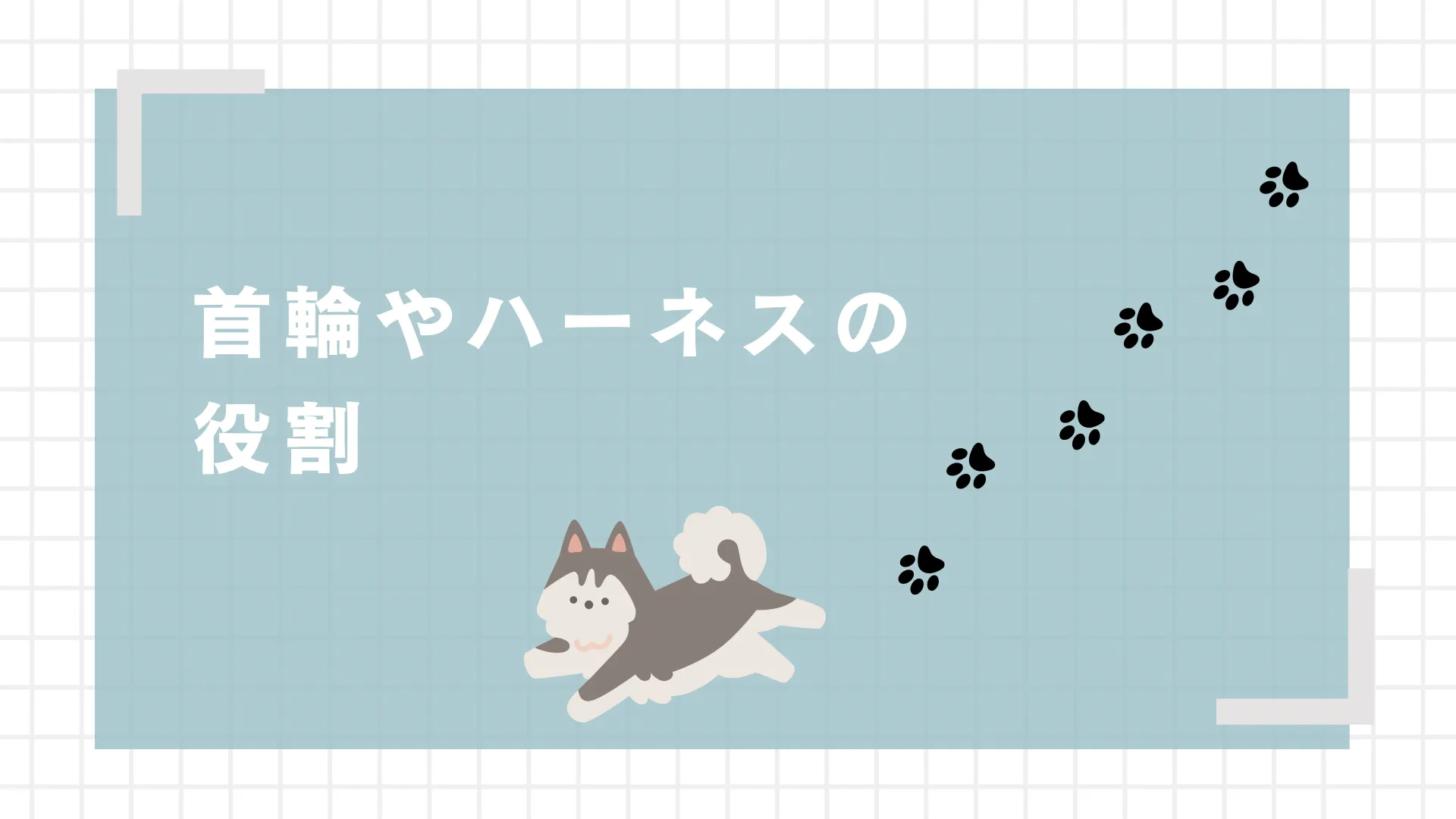 津市で学ぶ犬の首輪とハーネスの選び方
