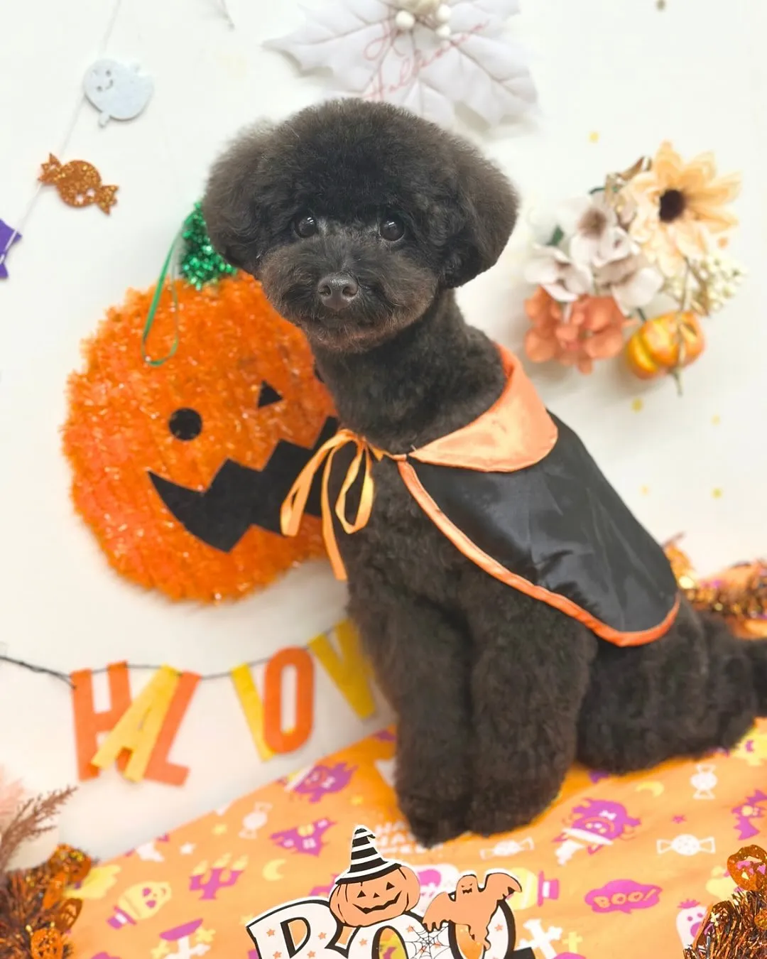 🎃つきくん・すずちゃん🎃