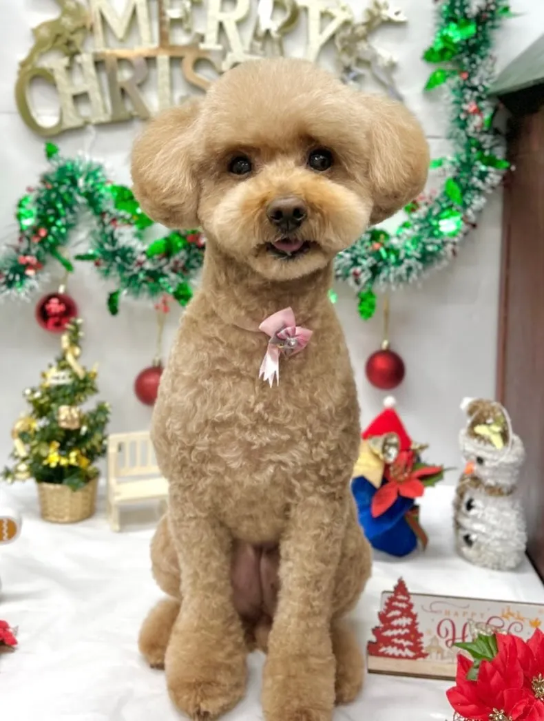 ❄️キキちゃん❄️