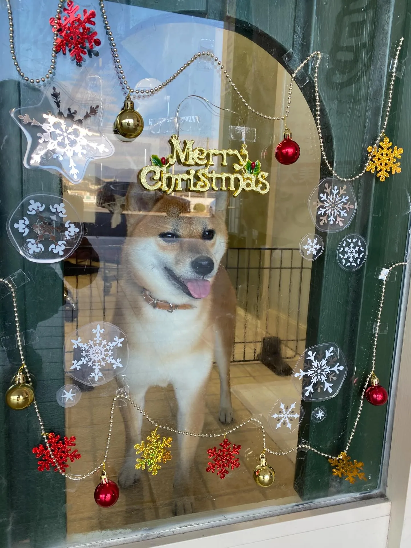 あずきちゃん💓