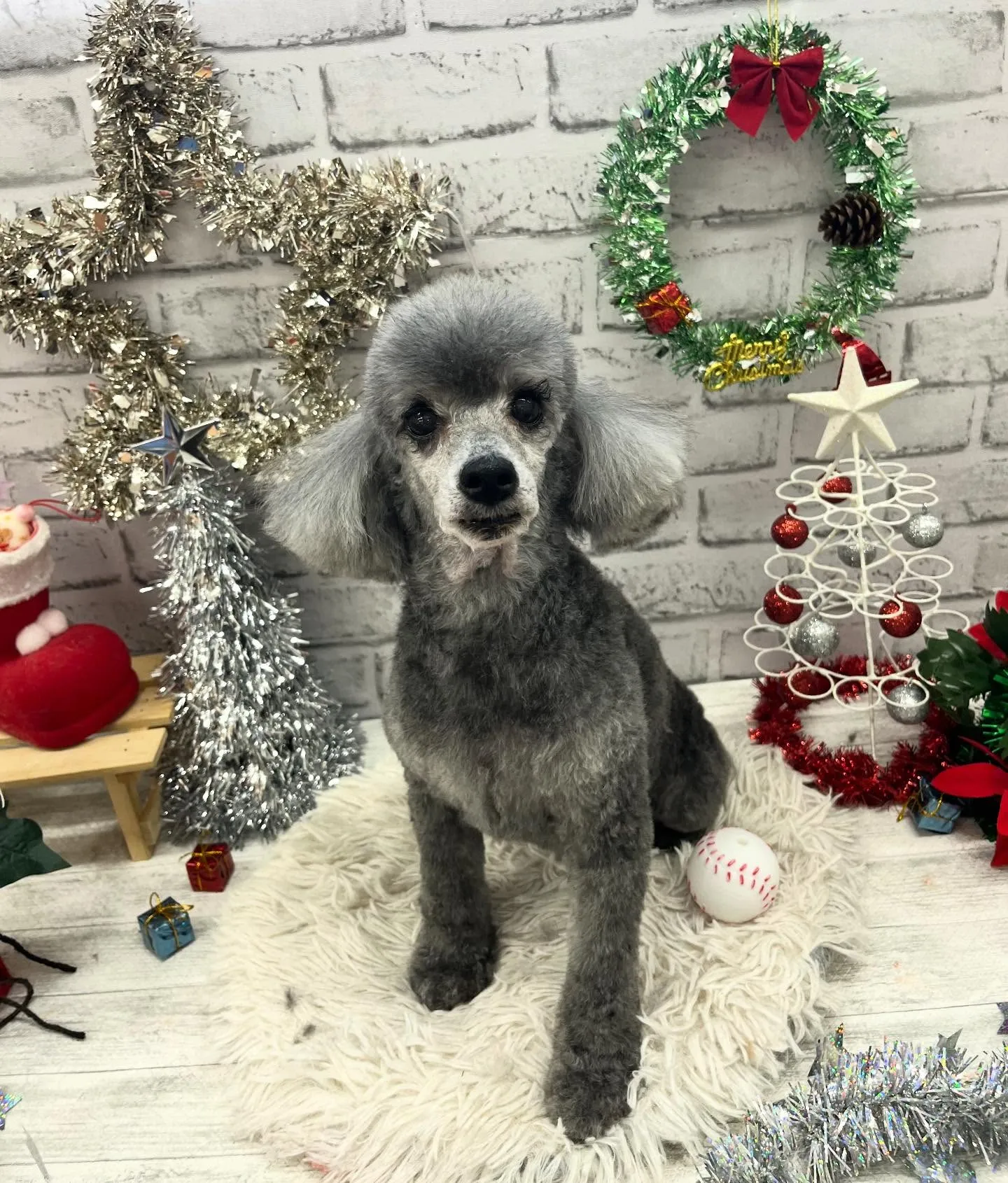 くうちゃん︎💕︎︎