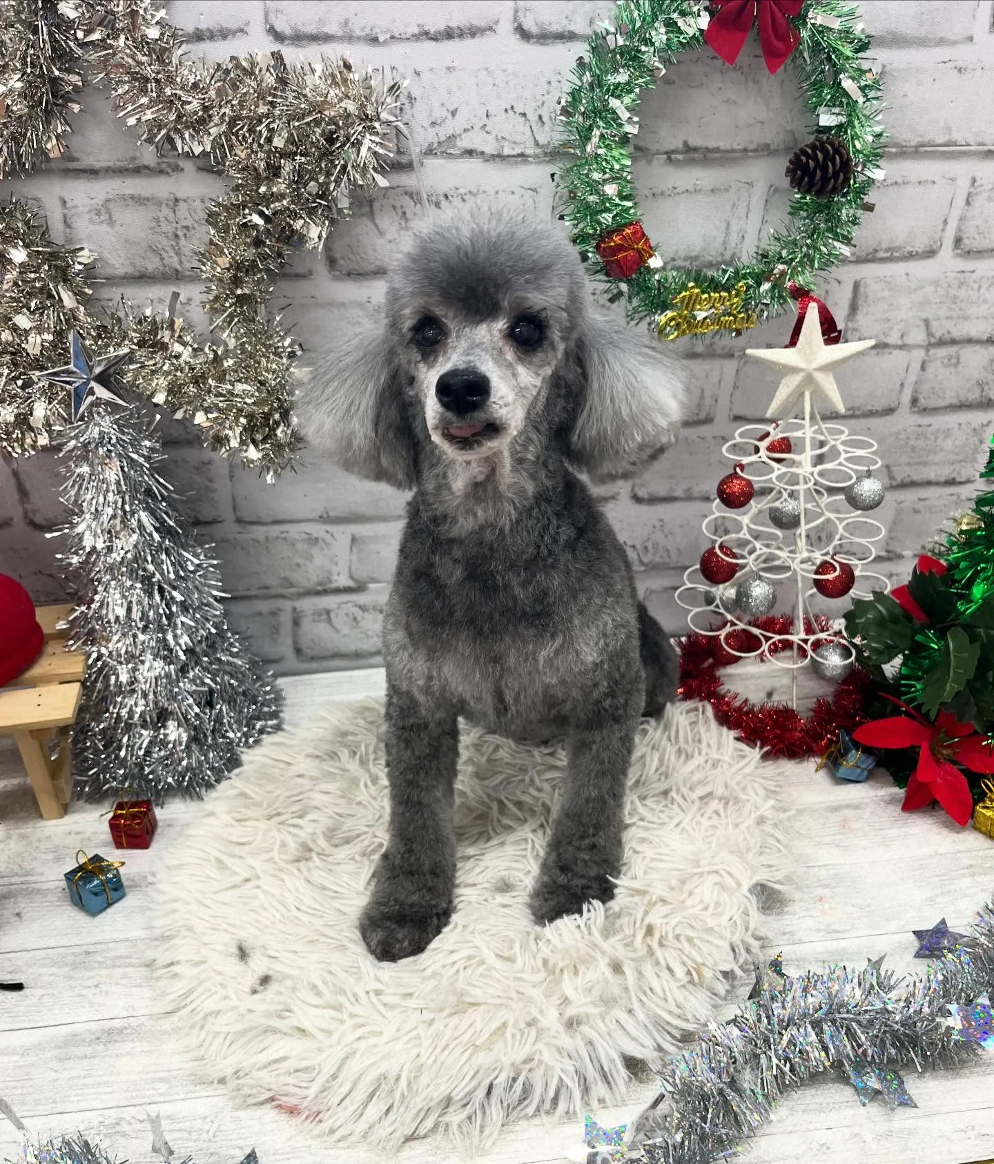 くうちゃん︎💕︎︎