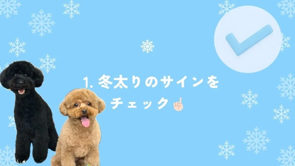 冬太り対策！松坂市の犬ダイエット法