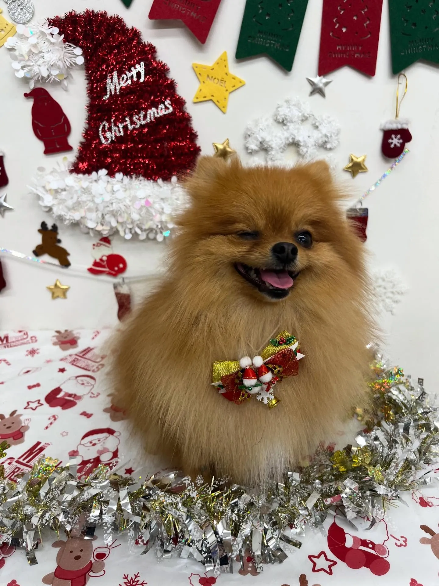 チャイちゃん︎💕︎︎