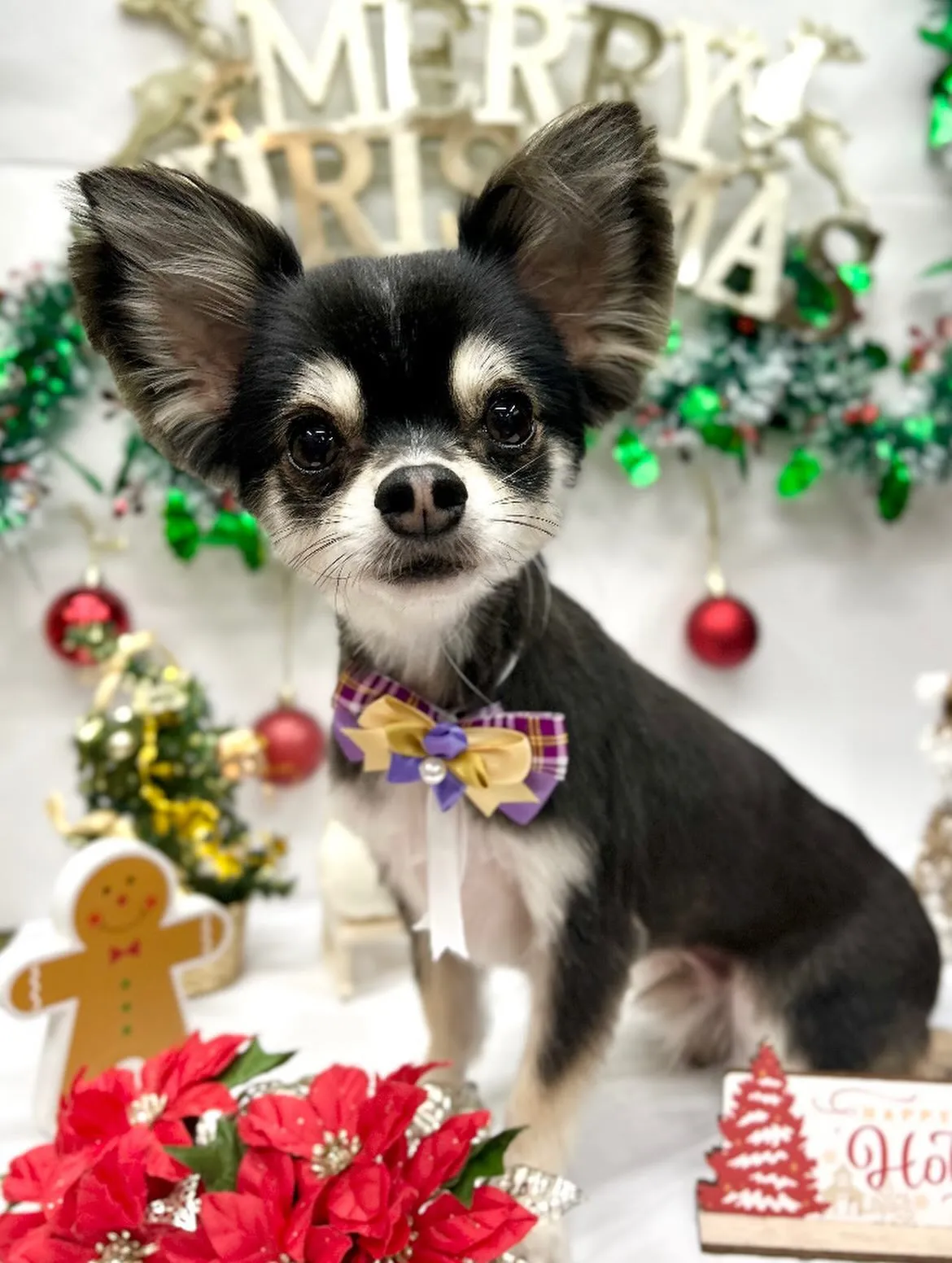 ๐
๐ปใซใคใใ๐