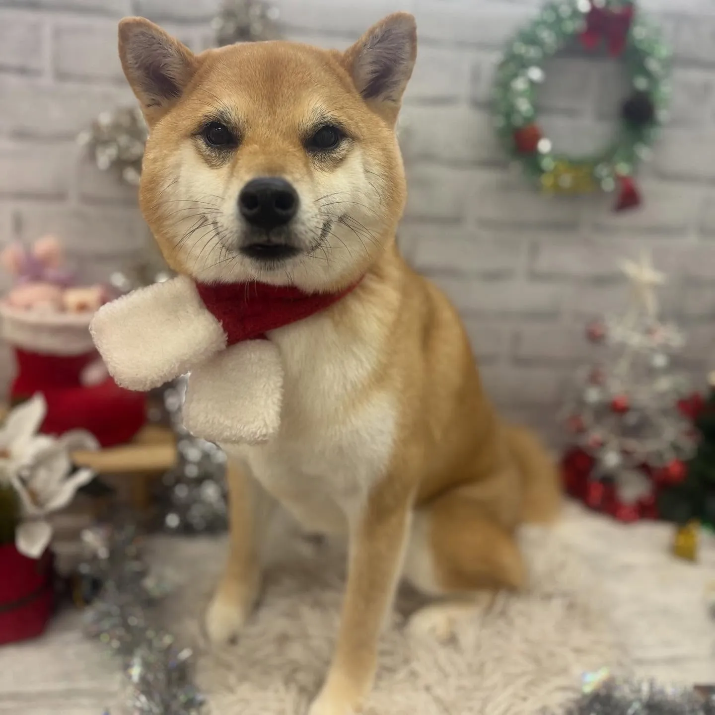 りりちゃん🎅🏻🧦