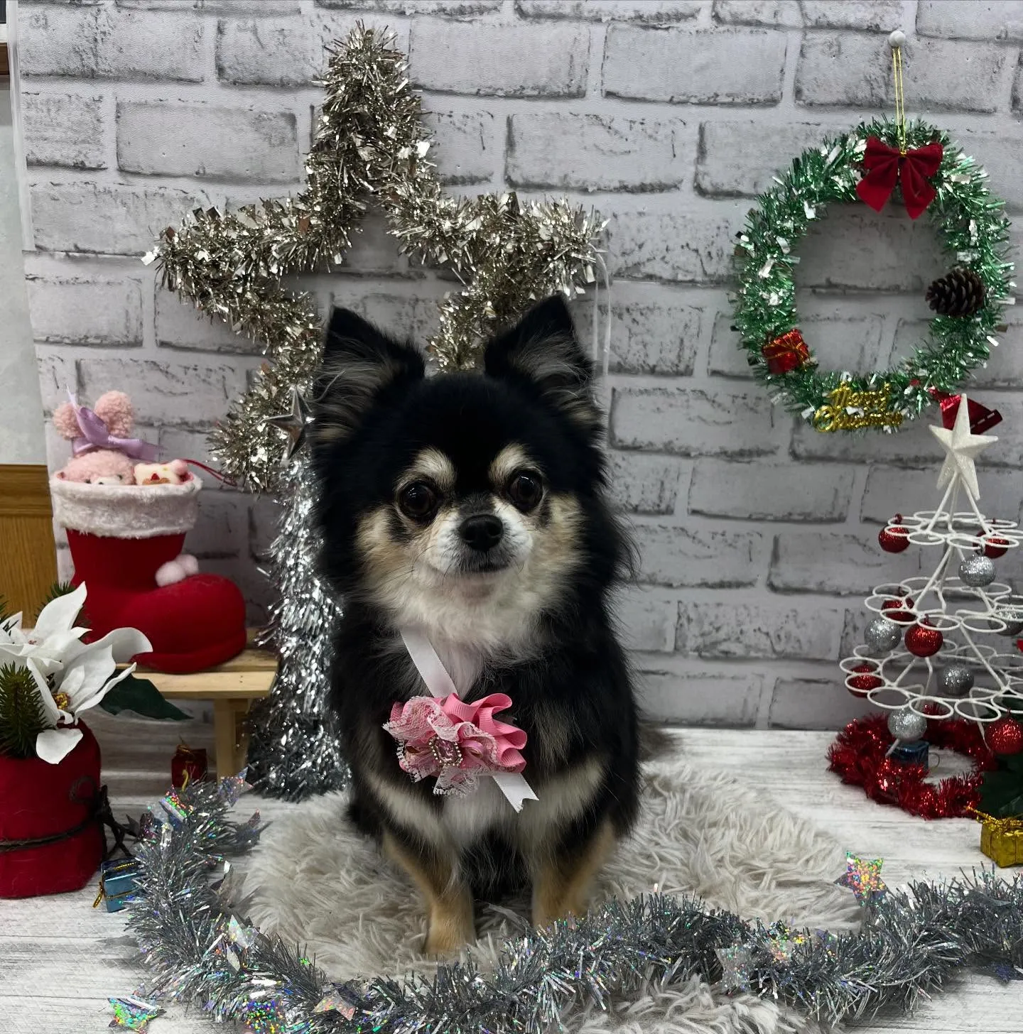 ももちゃん︎💕︎︎