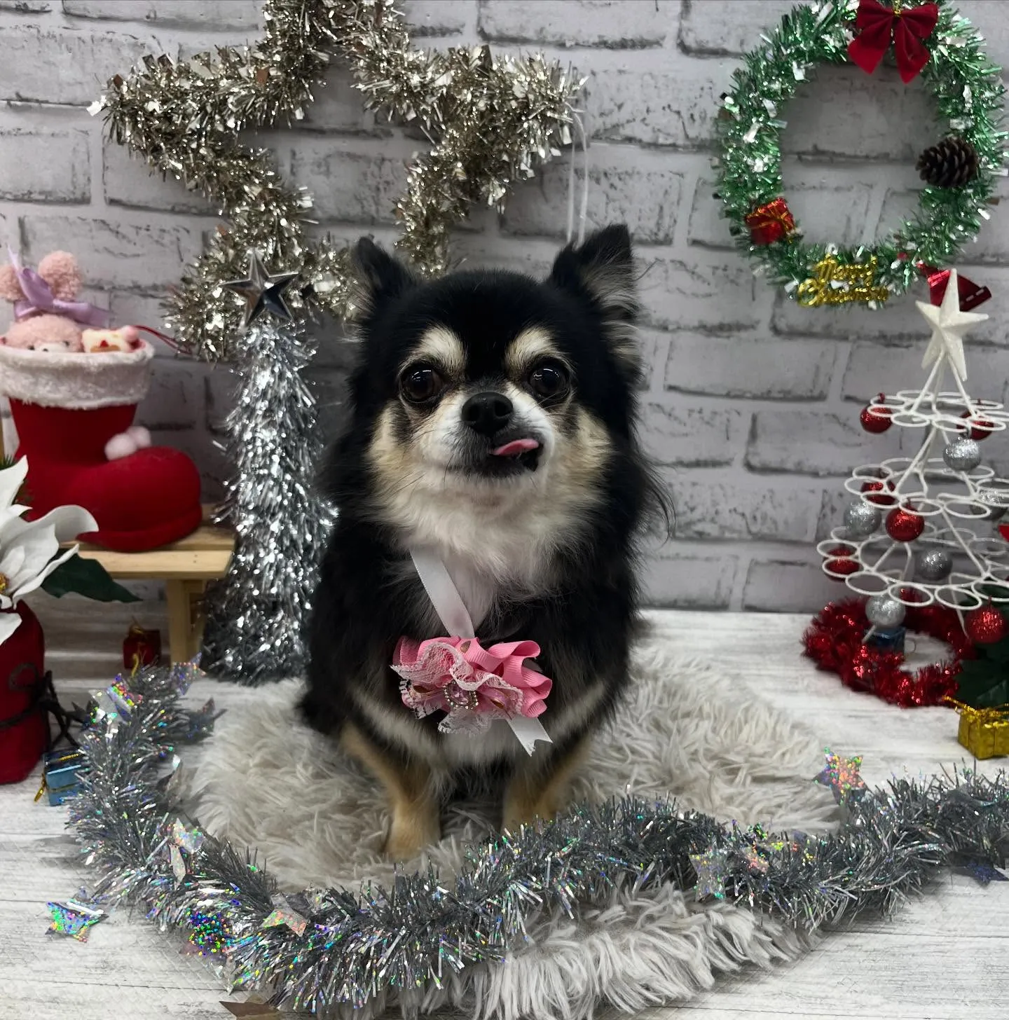 ももちゃん︎💕︎︎