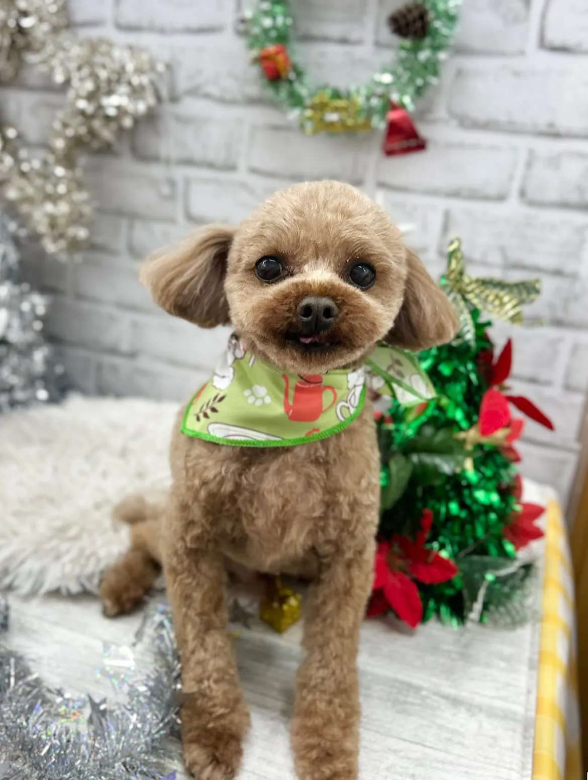 🎅🏻こてつくん🎀