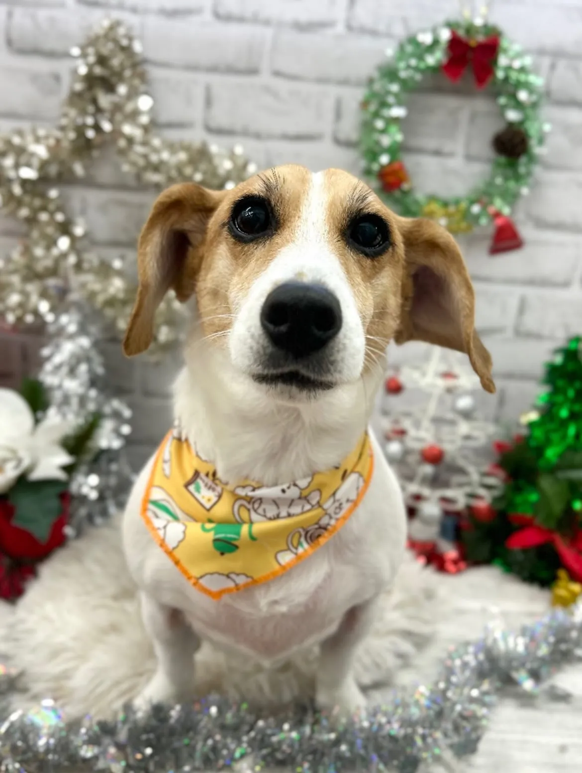 🎀陸ちゃん🎀