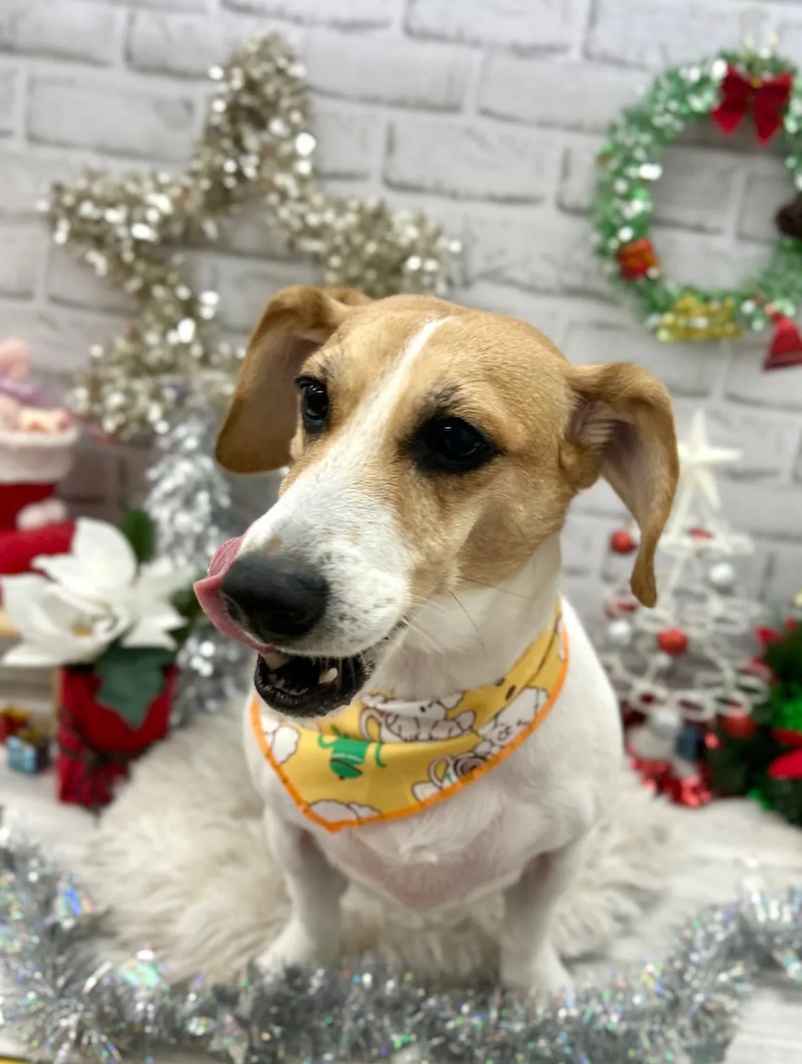 🎀陸ちゃん🎀