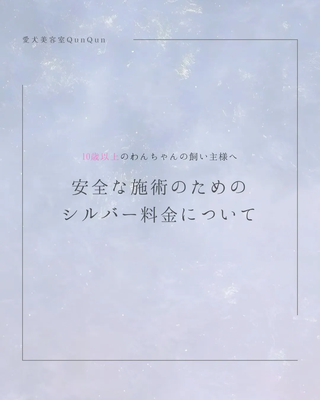 ꕤ︎︎シルバー料金についてꕤ︎︎