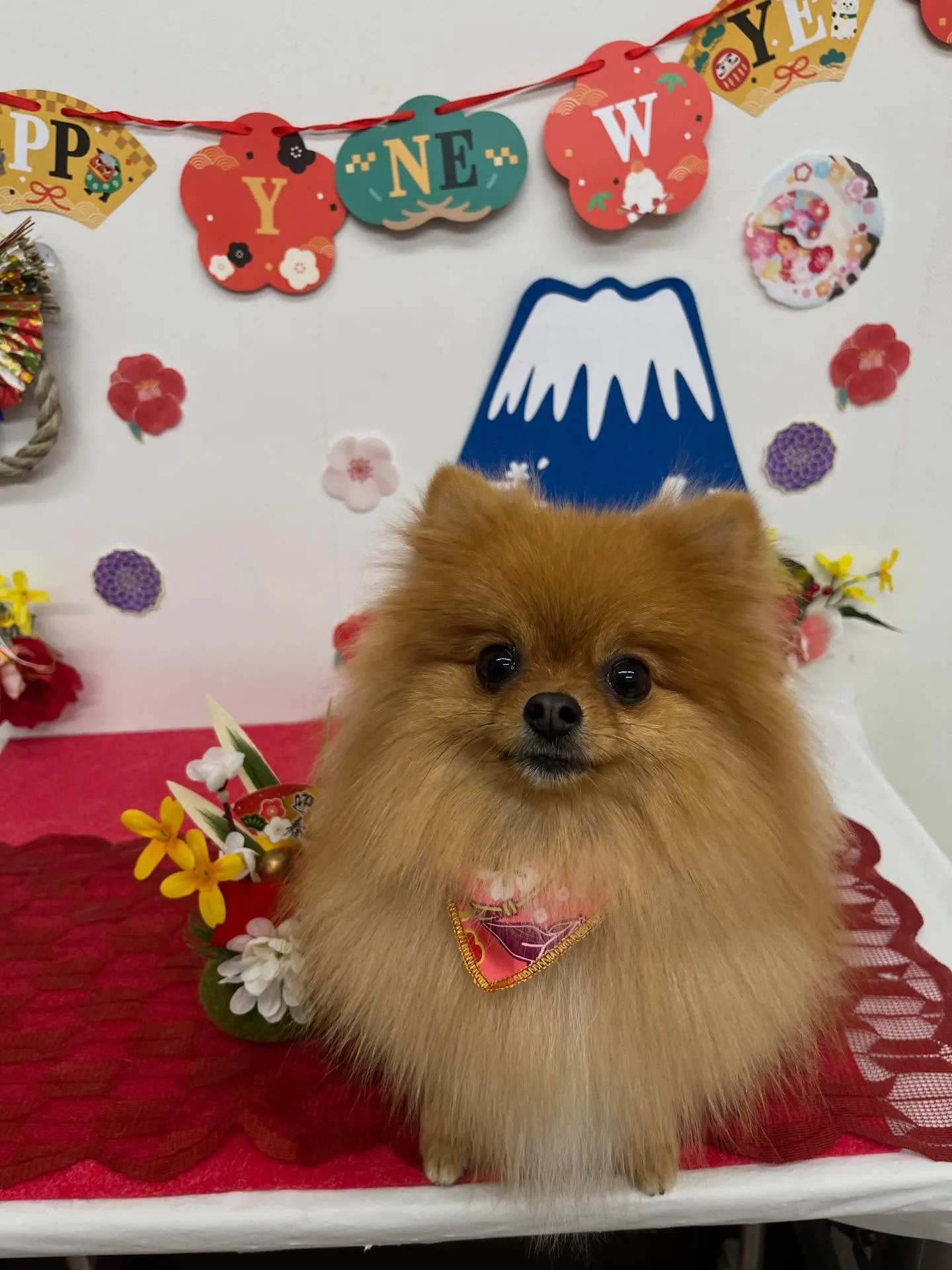 チャイちゃん︎💕︎︎