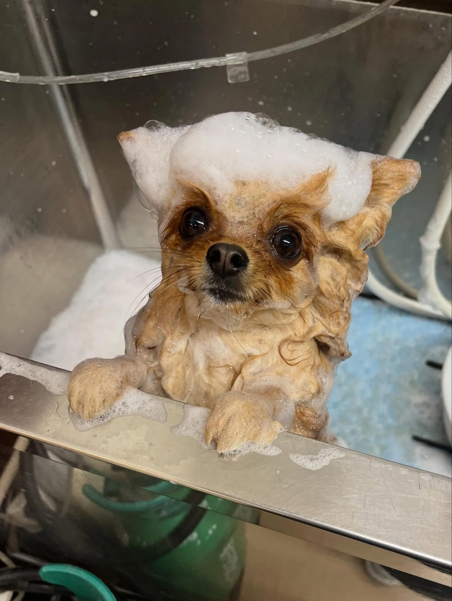 チャイちゃん︎💕︎︎