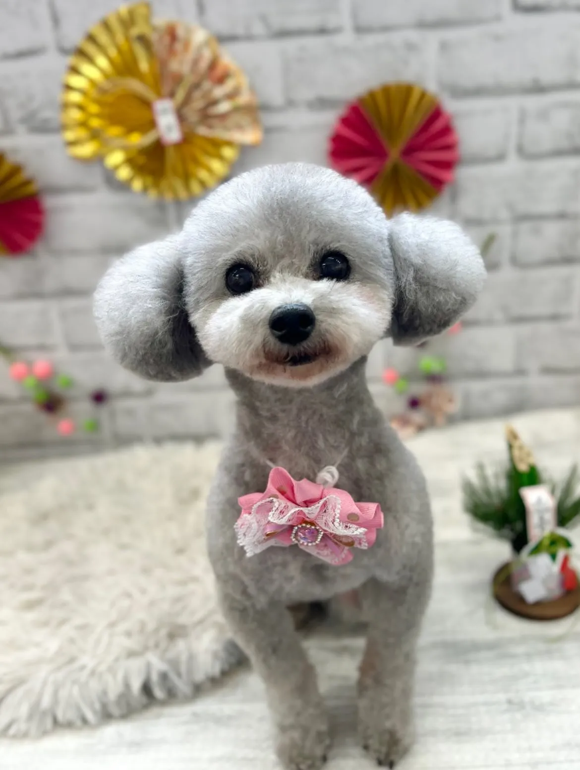 🎍もこちゃん🎍