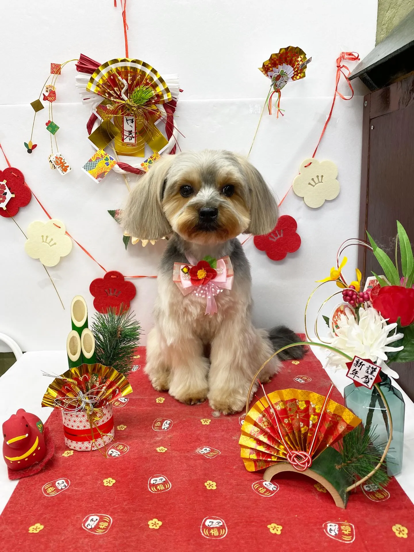 すみれちゃん💓