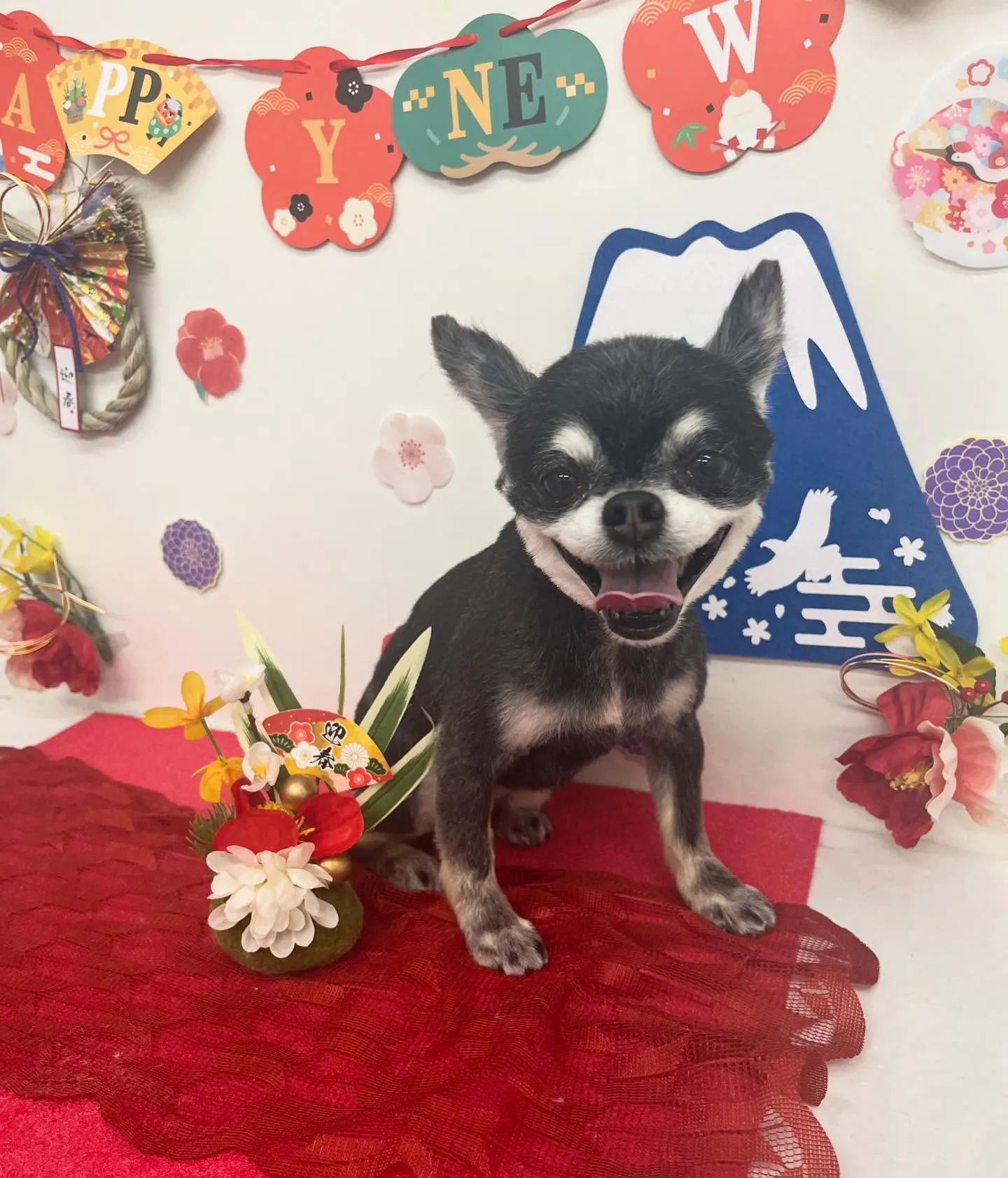 ふくちゃん︎💕︎︎