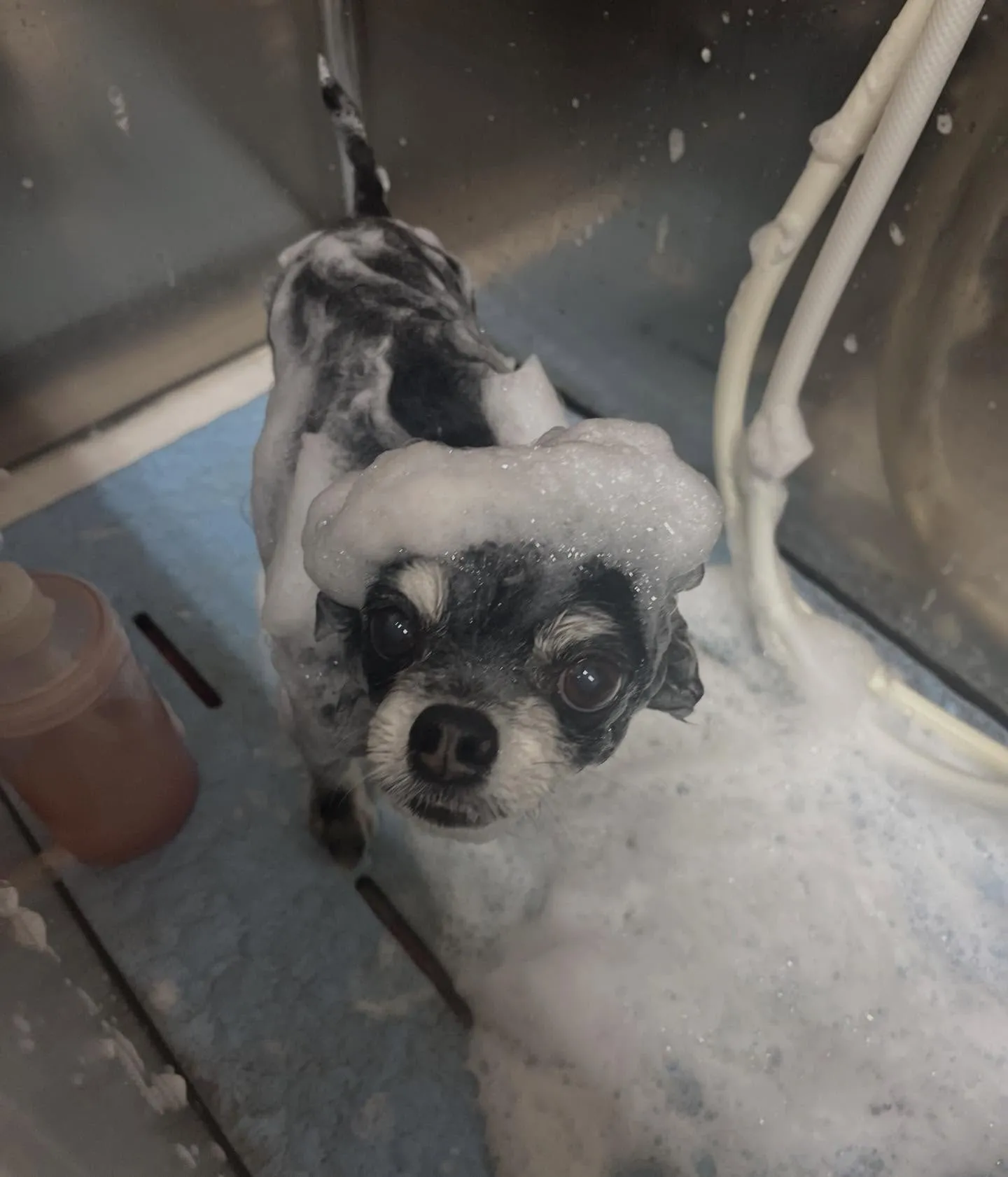 ふくちゃん︎💕︎︎