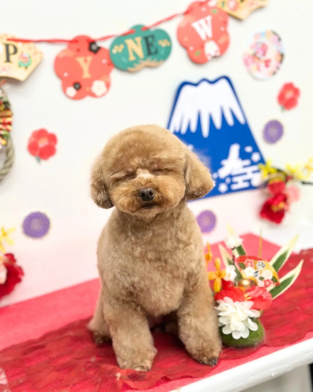 🎍ここちゃん･なぎくん🎍