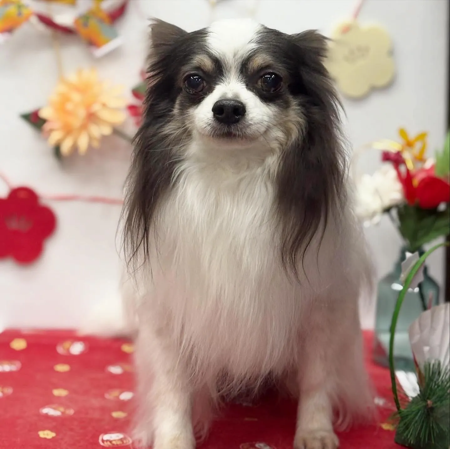 バニーちゃん💜