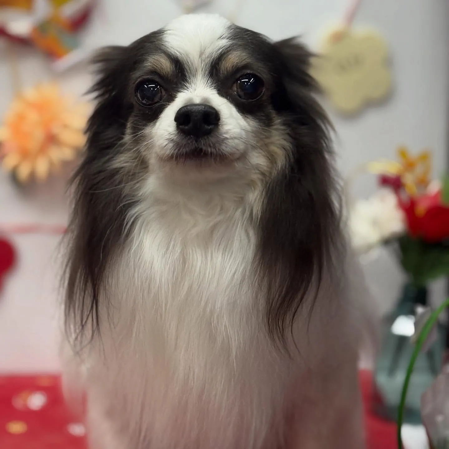 バニーちゃん💜