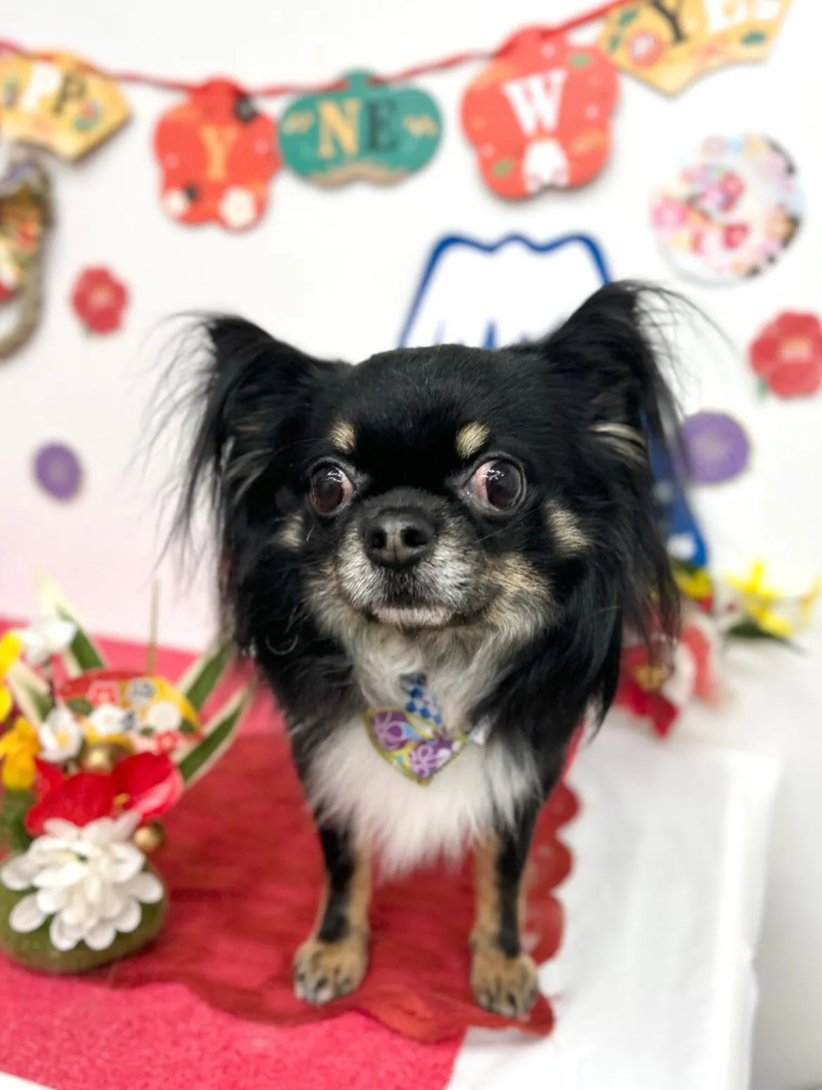 🎍むぎくん🎍