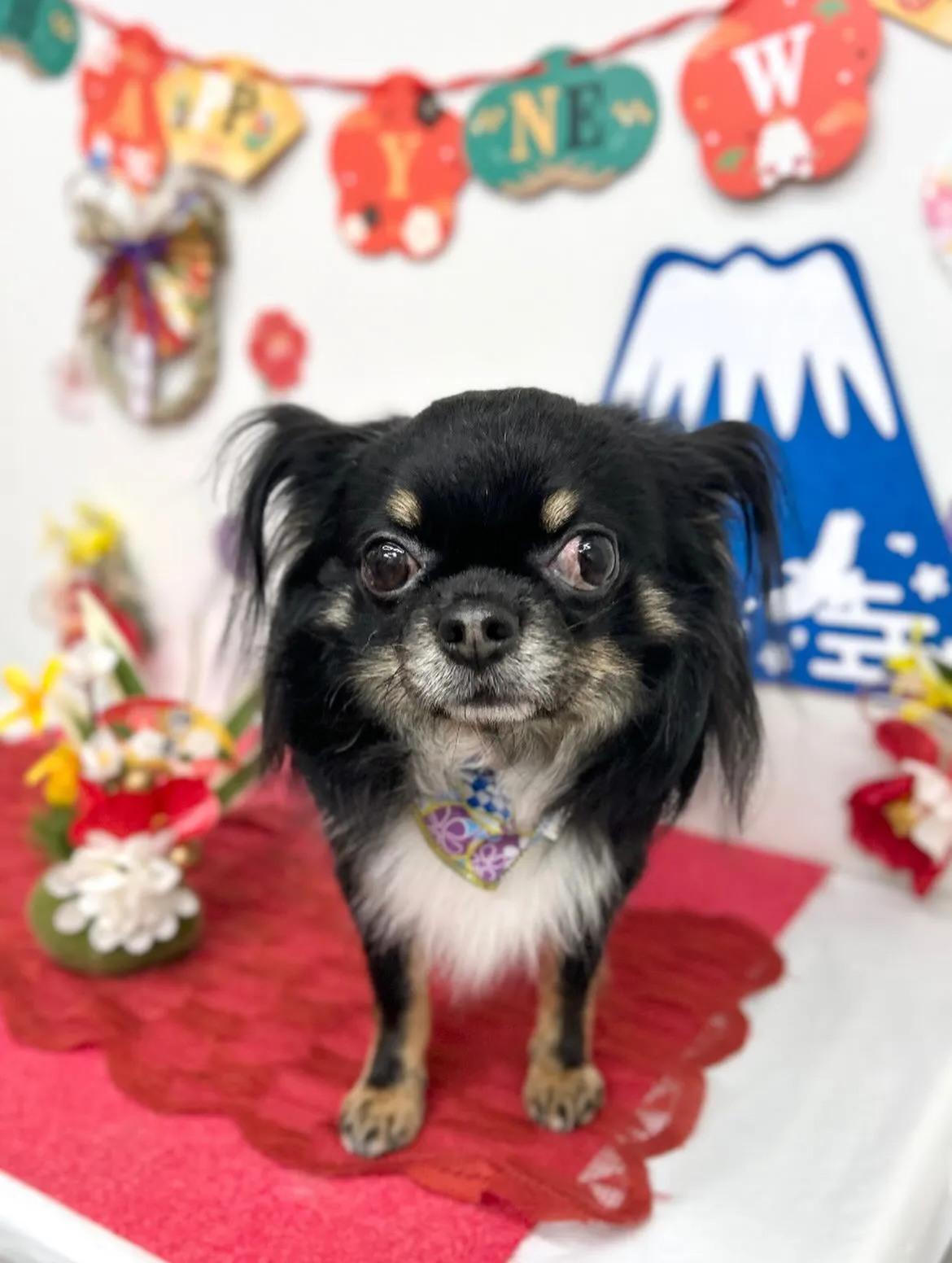 🎍むぎくん🎍