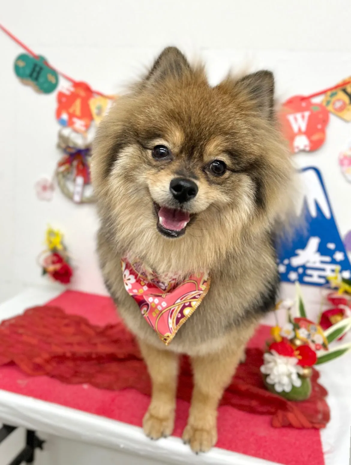 🎍こてつくん🎍