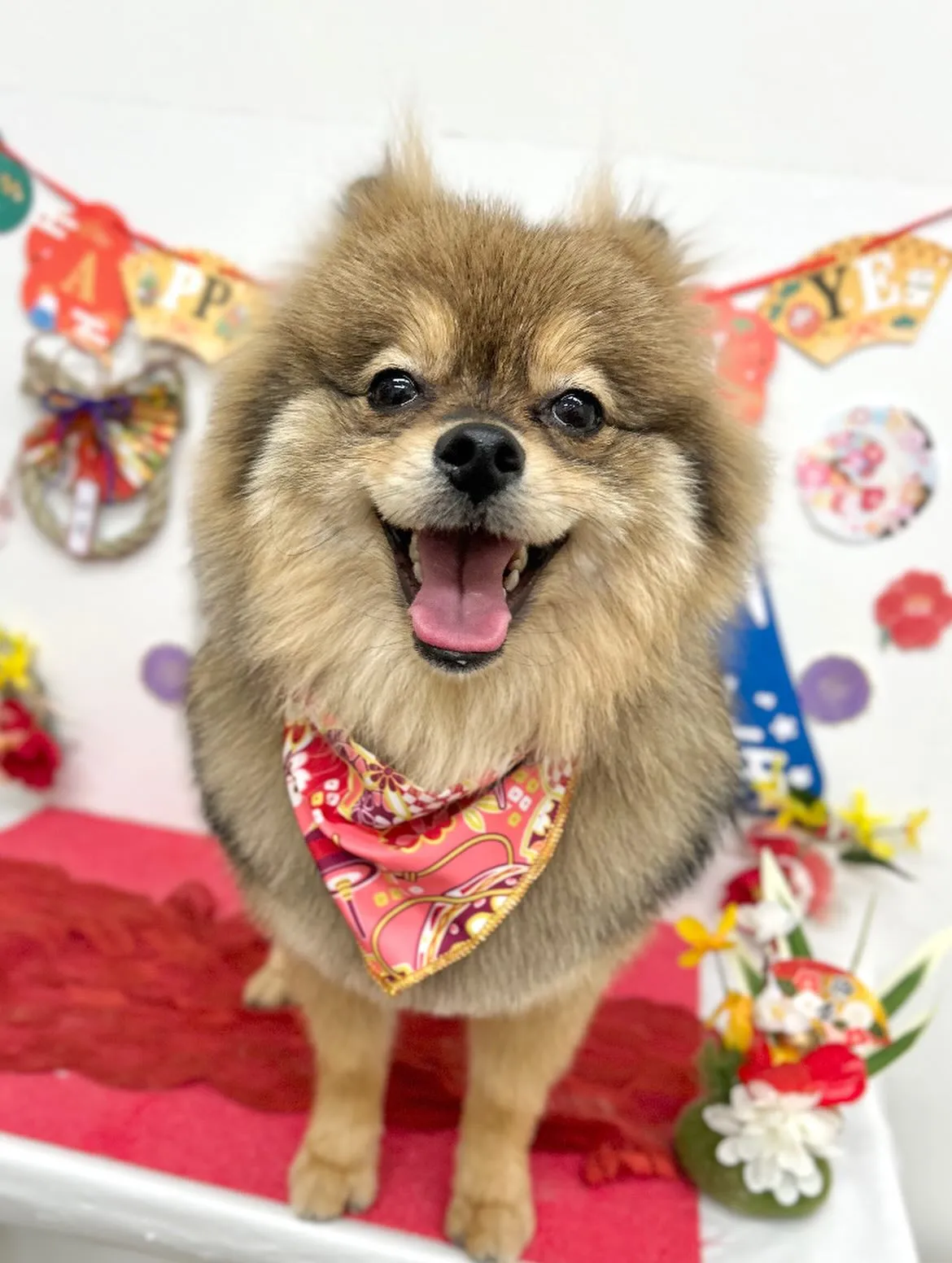 🎍こてつくん🎍