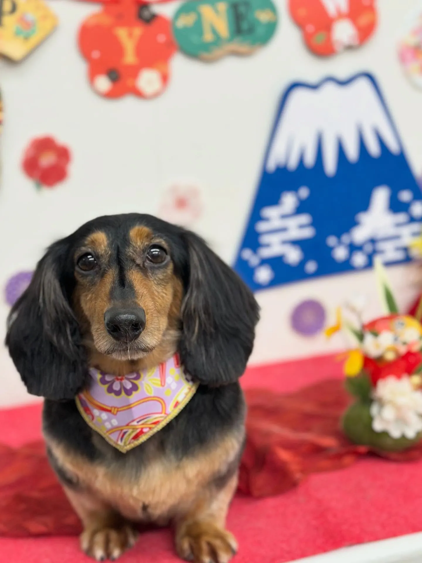 らいとちゃん🐻🥨