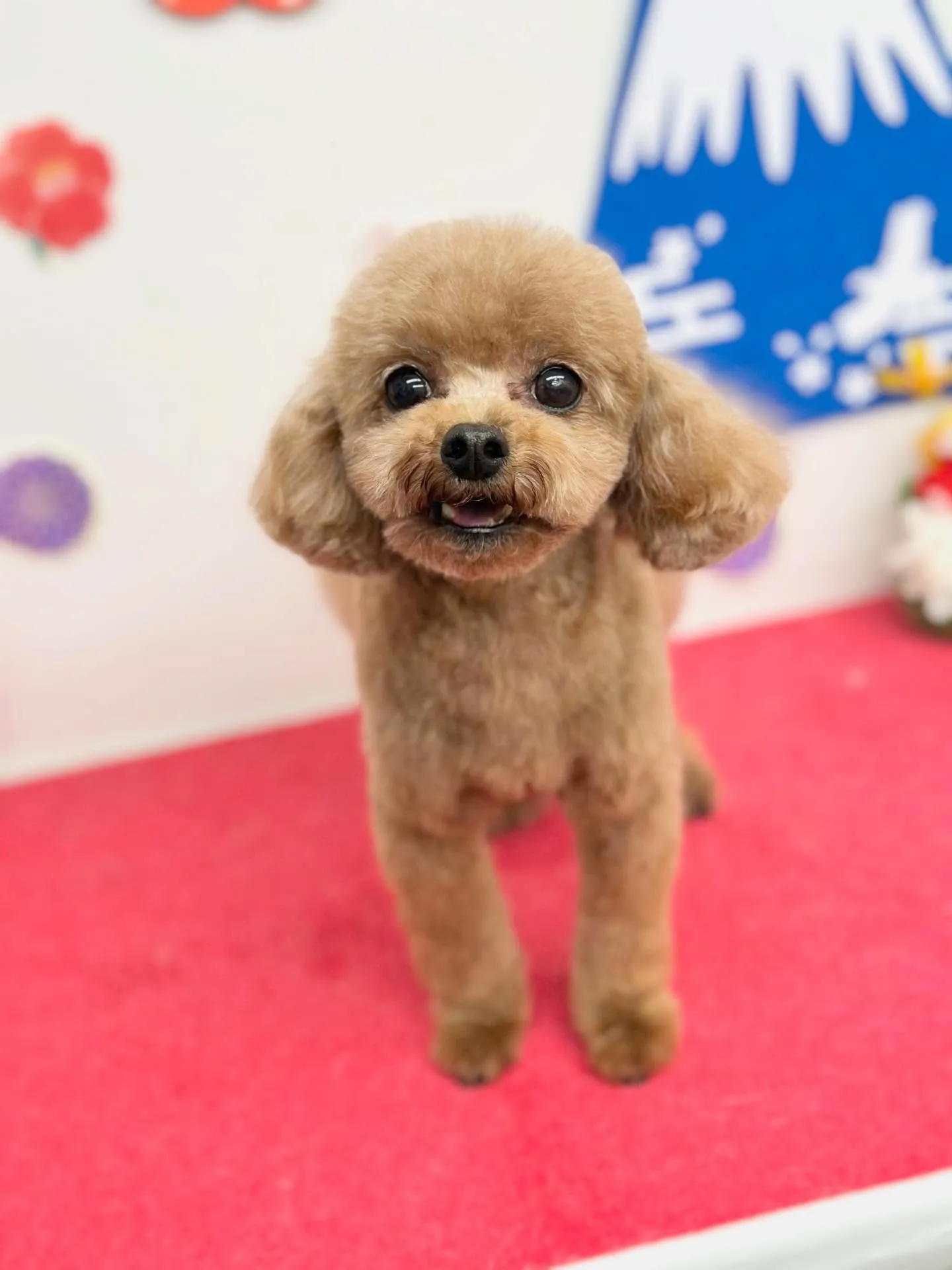 らんちゃん🐻🌼