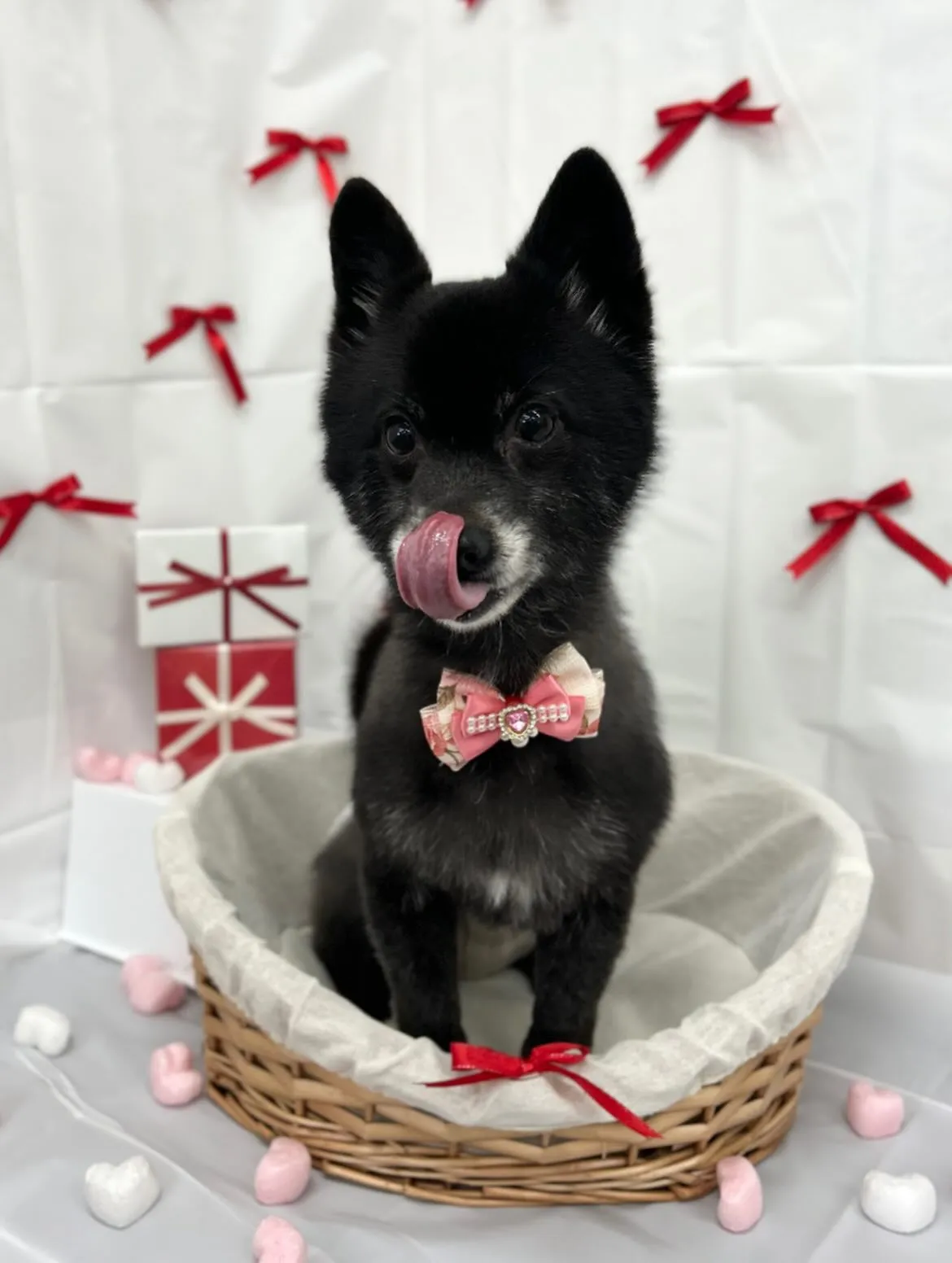 🧸ニコちゃん🎀