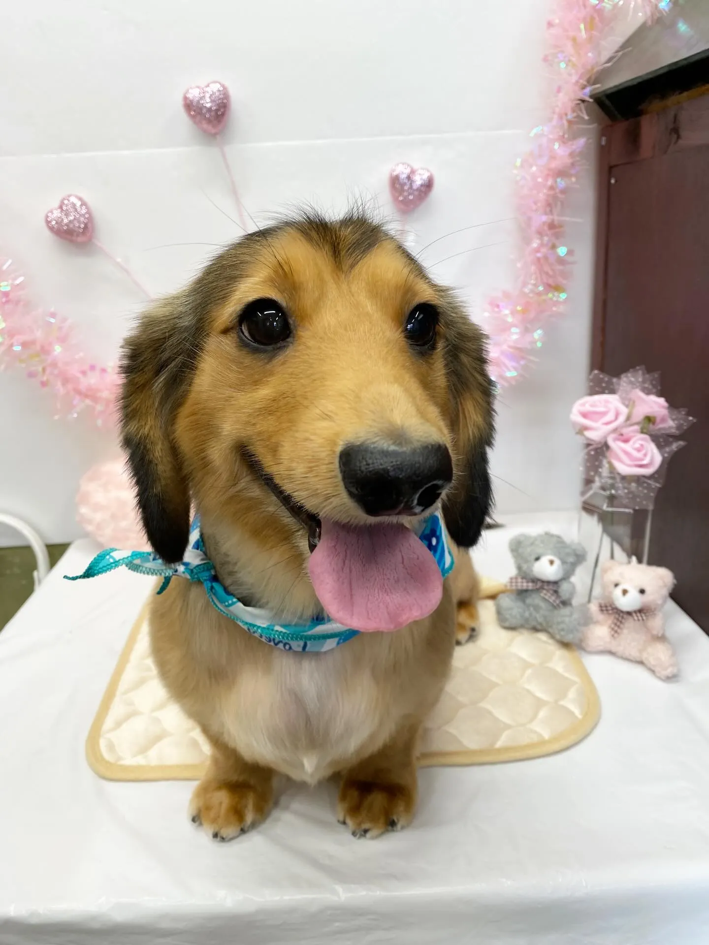 ヒカリちゃん💓