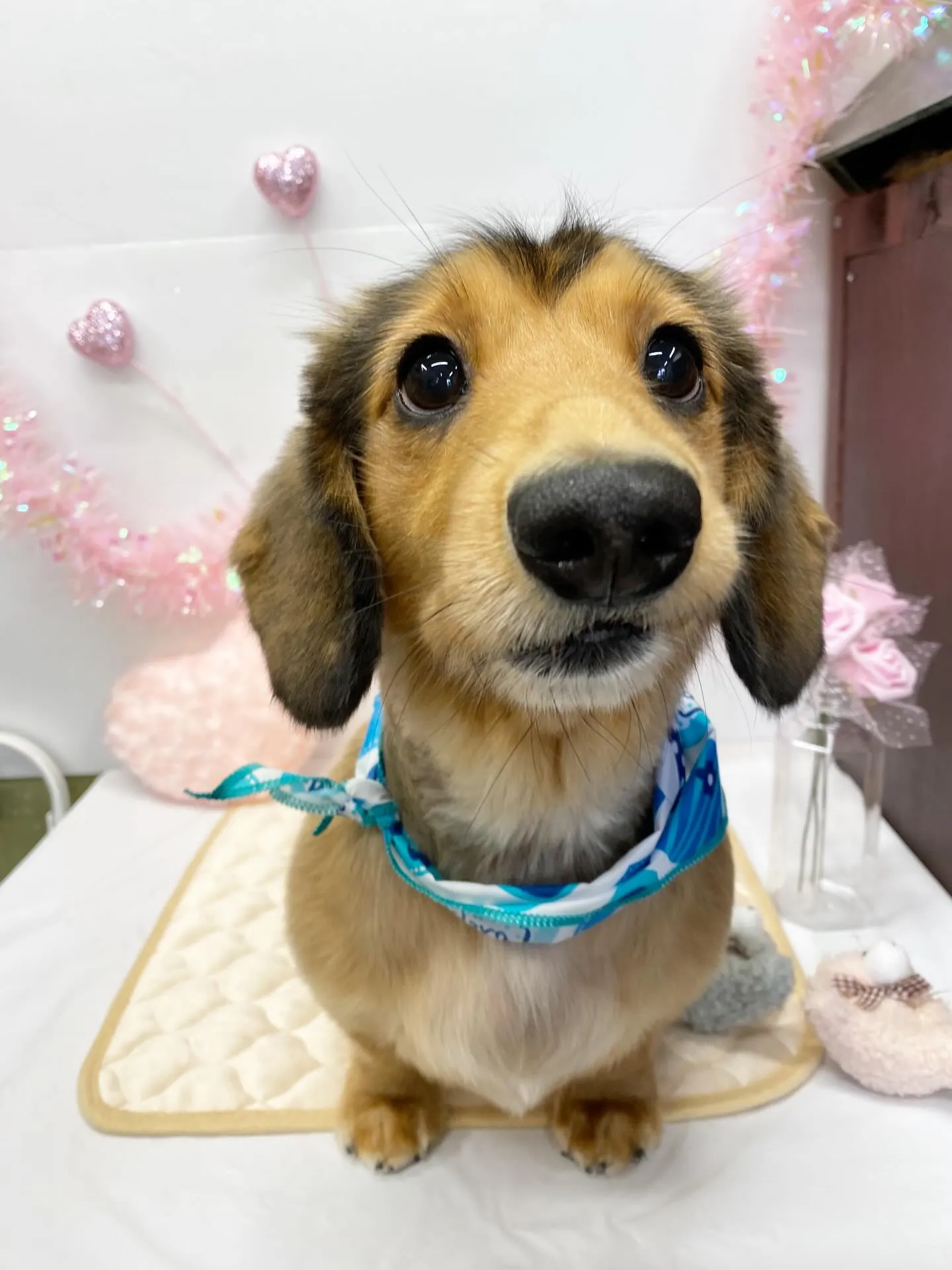 ヒカリちゃん💓