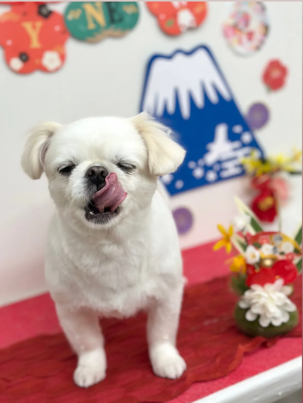 🎍めめちゃん🎍