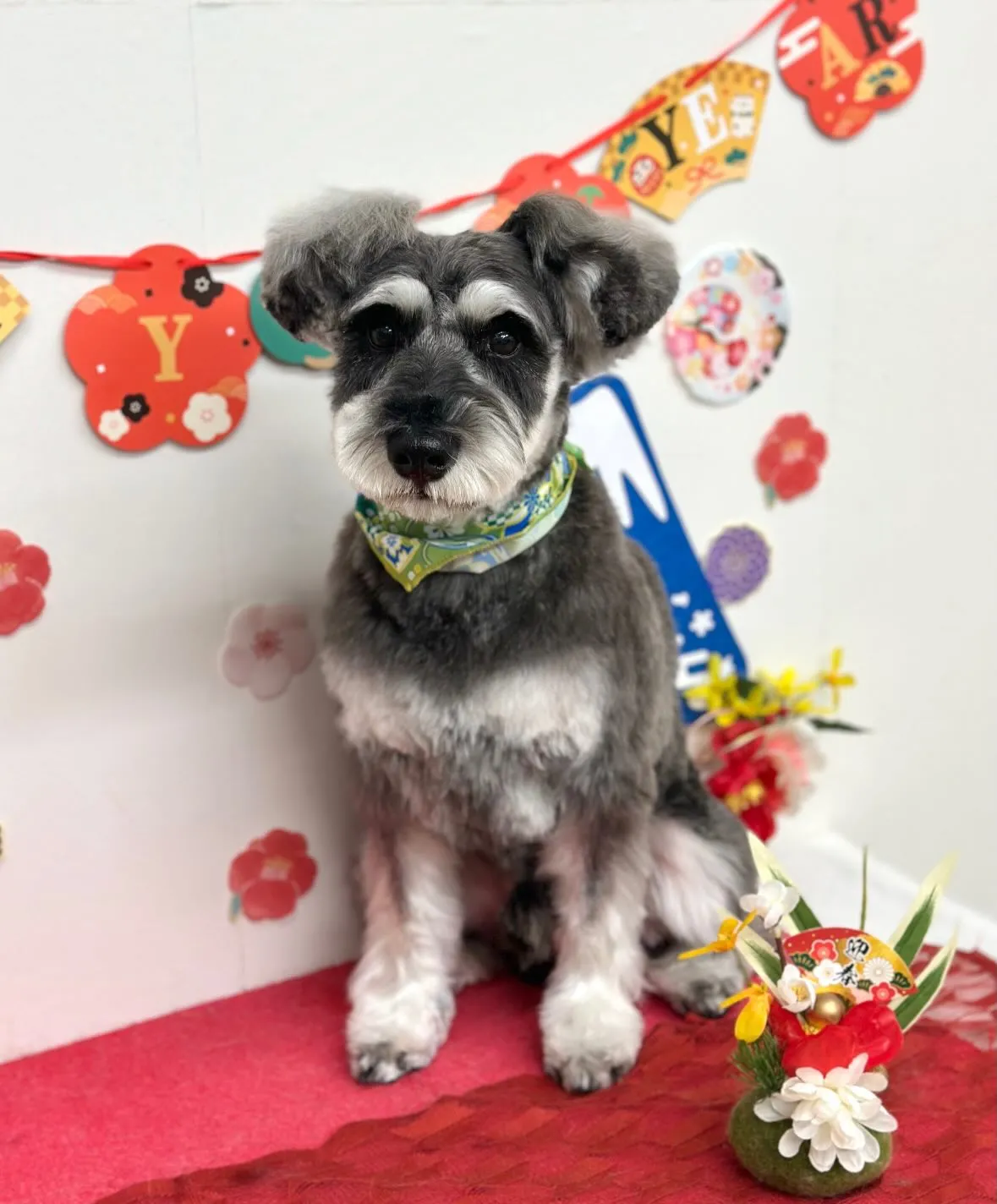 🎍しずくくん🎍