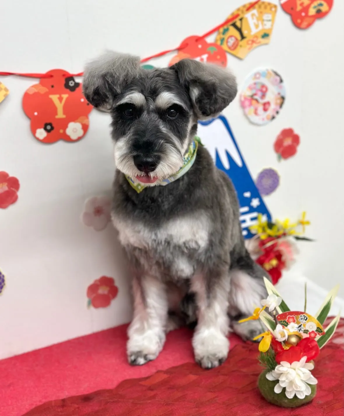 🎍しずくくん🎍