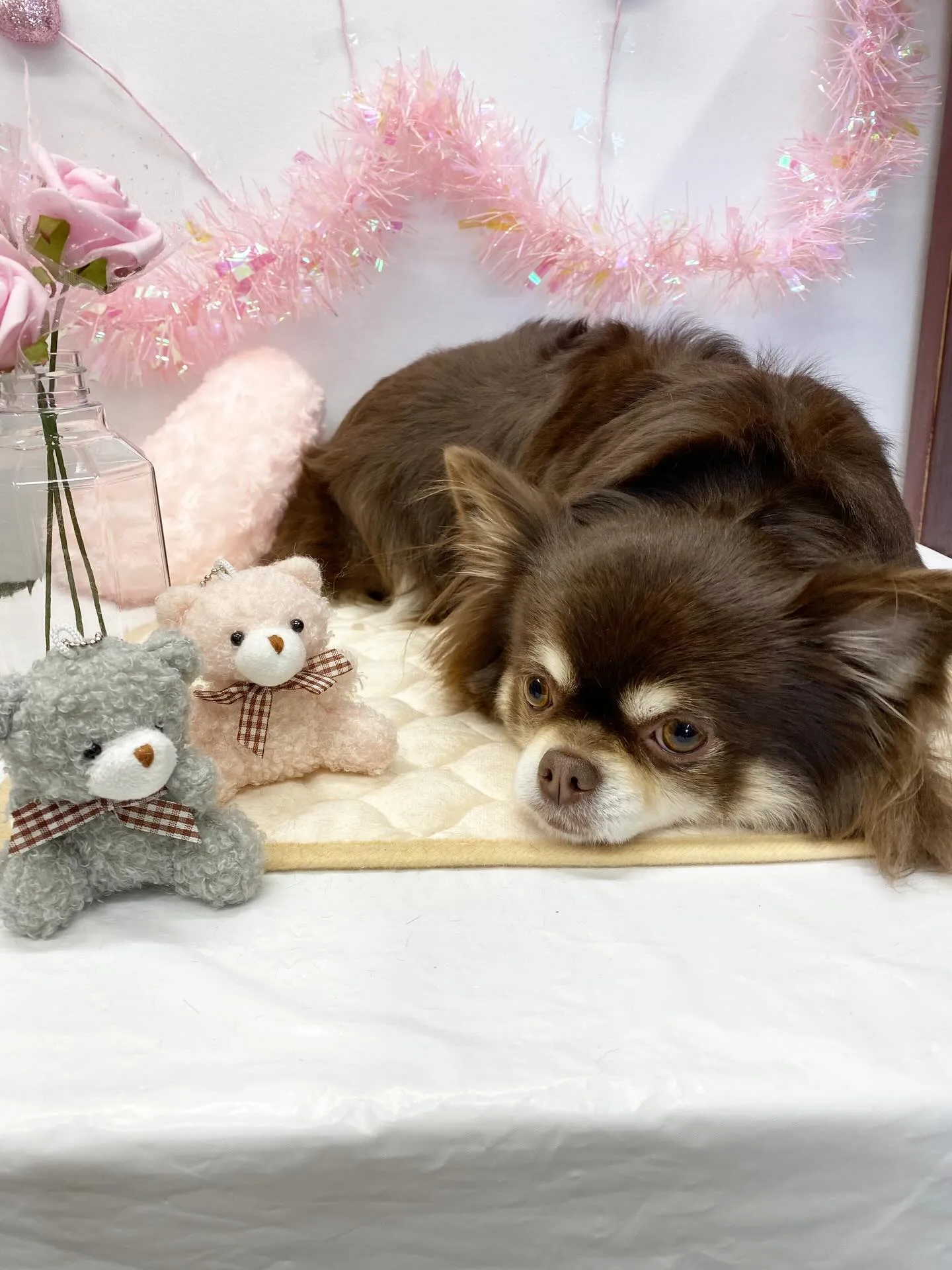 💓ミッチちゃん、りなちゃん💓