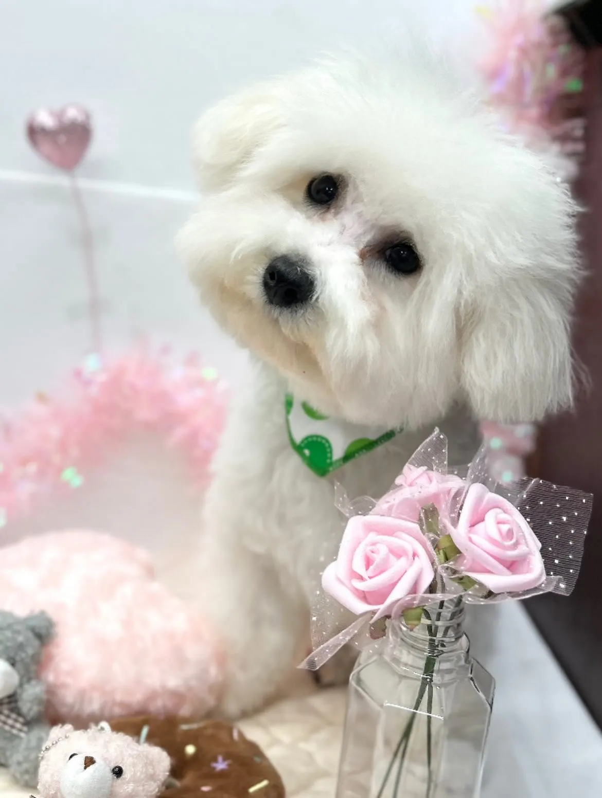 🧸パムくん🎀