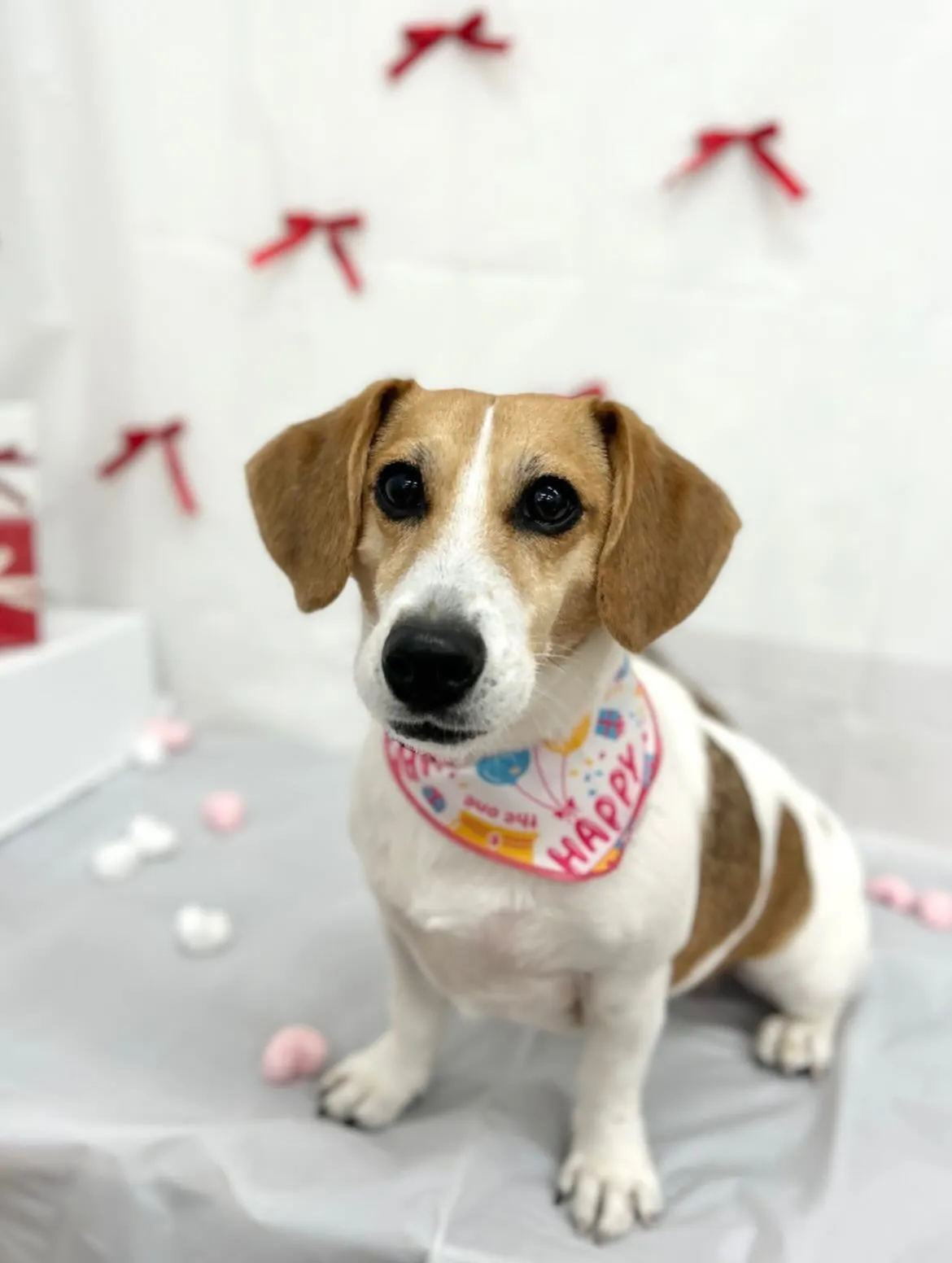 🧸陸ちゃん🎀