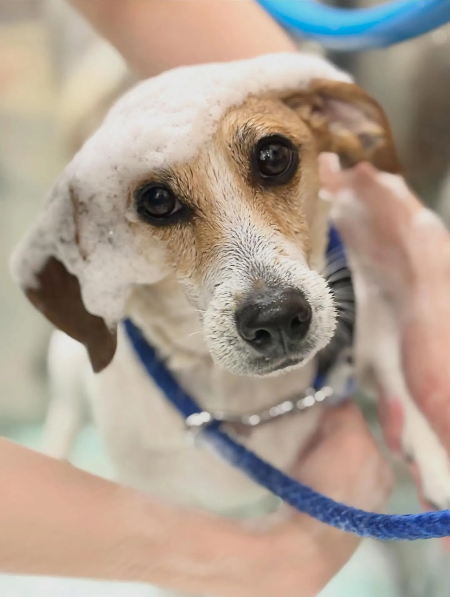 🧸陸ちゃん🎀