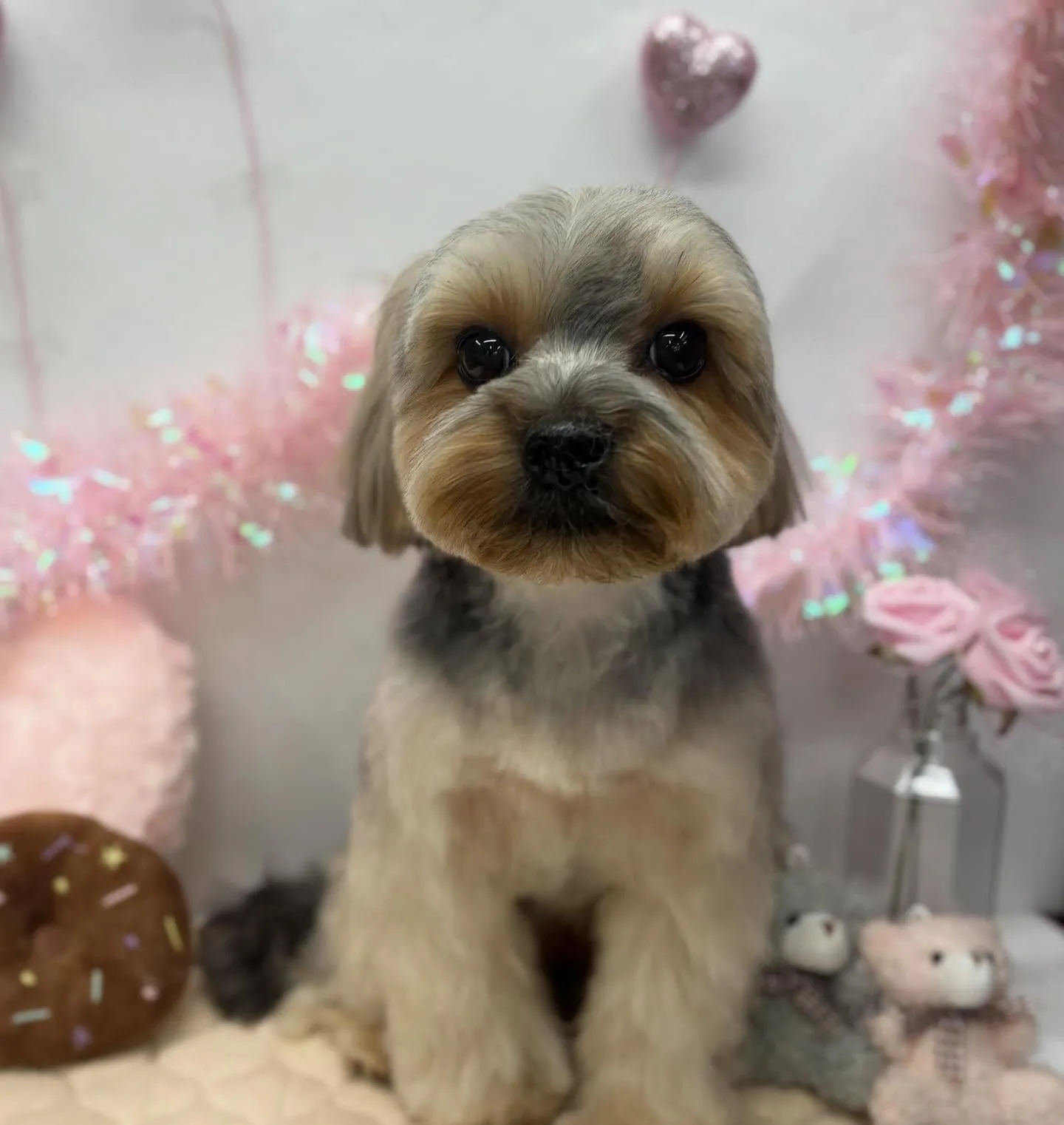 すみれちゃん💐