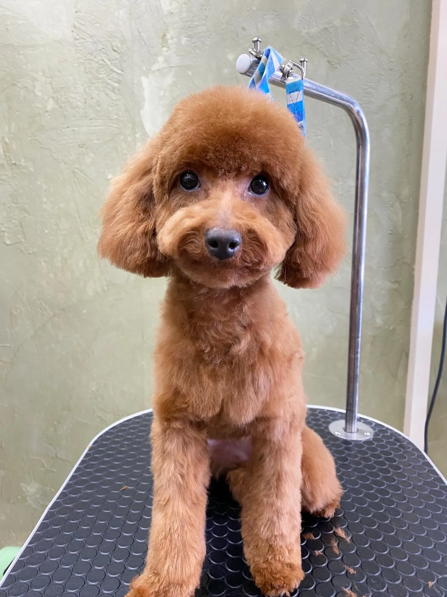 きな子ちゃん💓